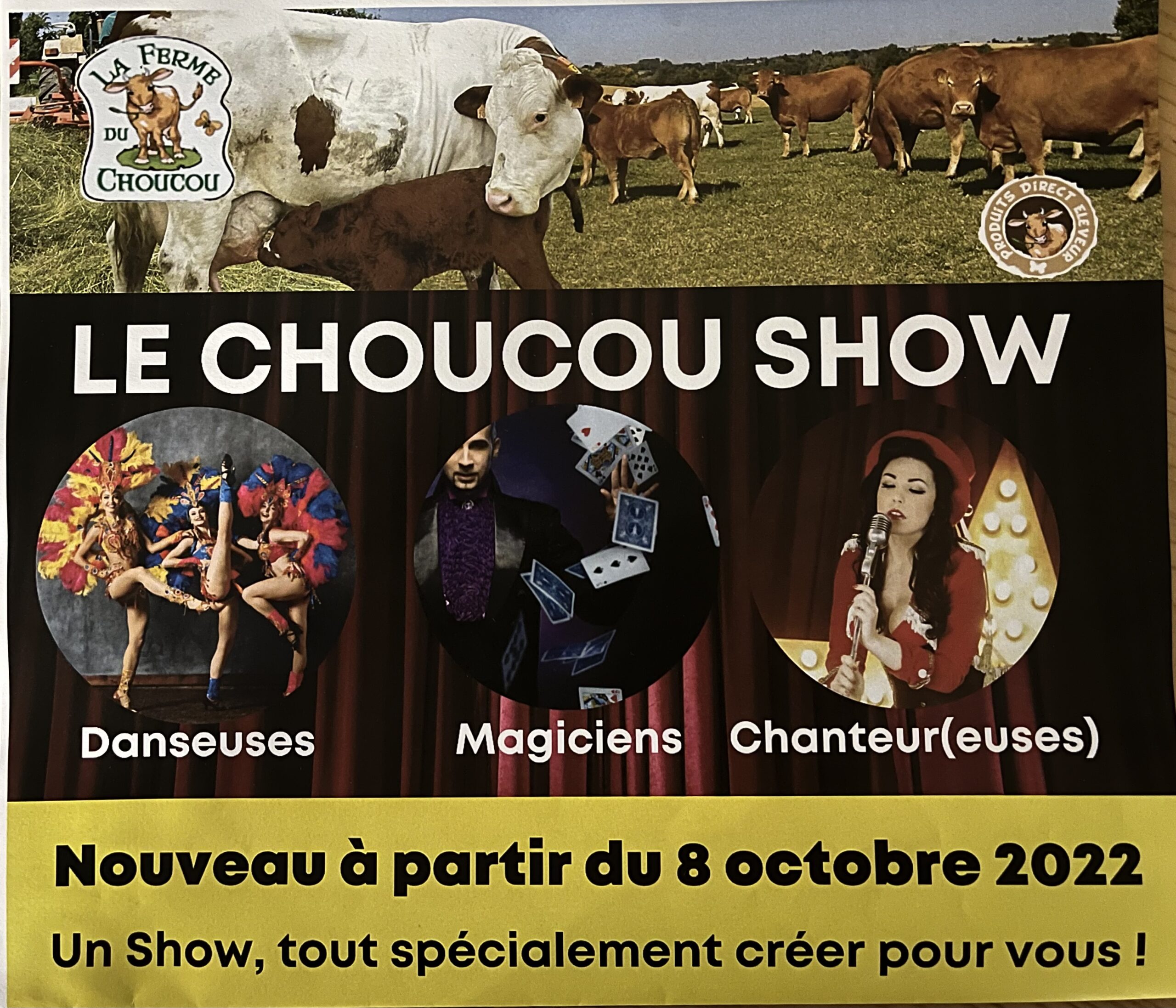 affiche 2